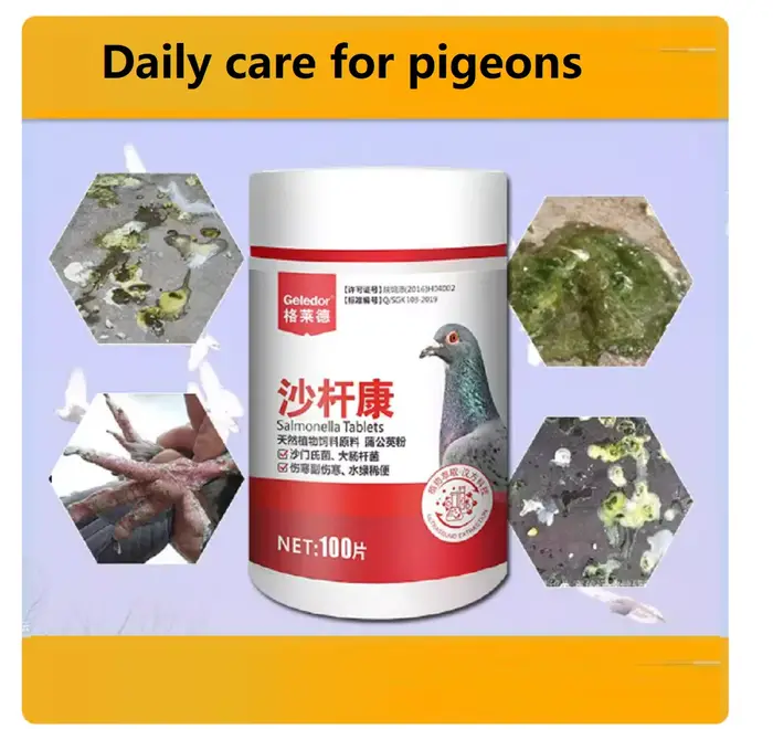Traitement spécial pour pigeons : Salmonella