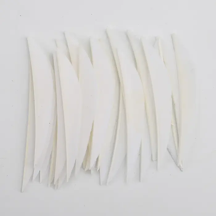 Plumes de dindon pour ailes de flèches, DIY Tir à l'arc, Chasse en carbone et bois, Accessoires de t