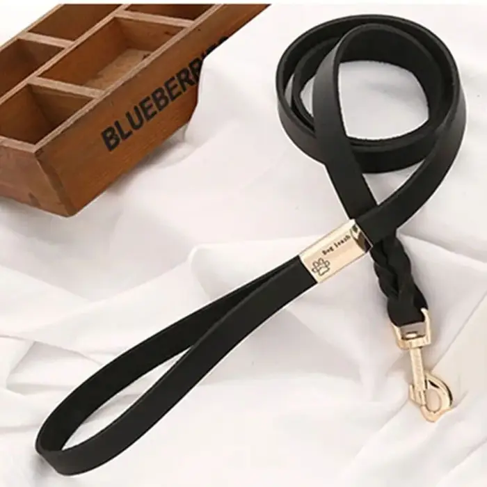 Laisse en cuir pour chien 1.3m, corde tressée robuste et Durable, pour entraînement et marche, pour 