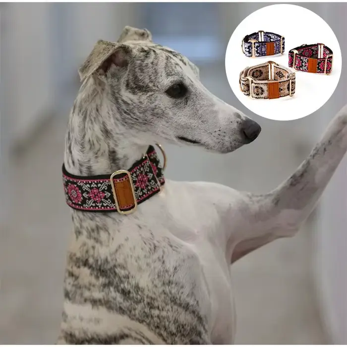 Collier pour animaux de compagnie de Style ethnique