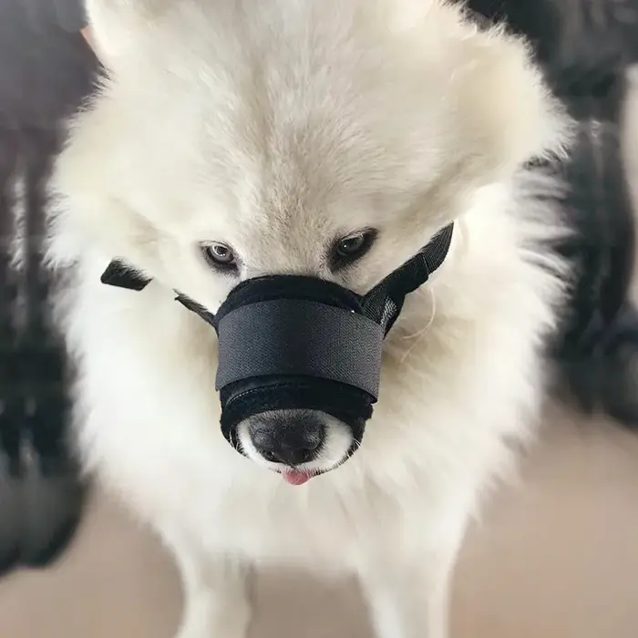 Masque réglable pour chien de compagnie, muselets respirants en maille, museau buccal pour petit et grand chien, Anti-aboiement, morsure à mâcher, 1 pièce