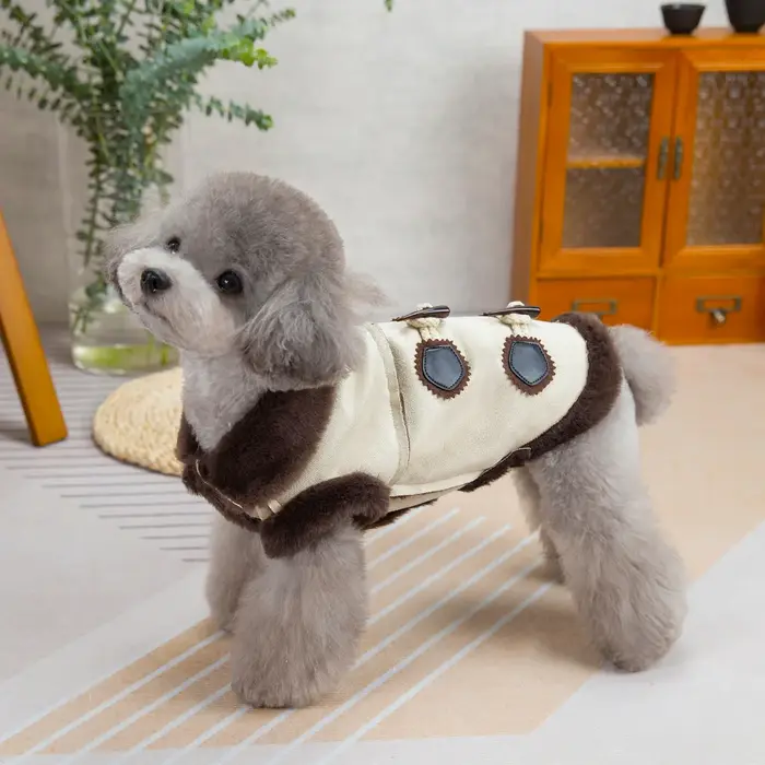 Veste à col en fourrure pour chien de compagnie, vêtements chauds pour chien, pull coupe-vent, mante
