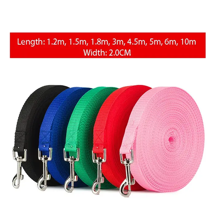 Laisses pour animaux de compagnie plus longues