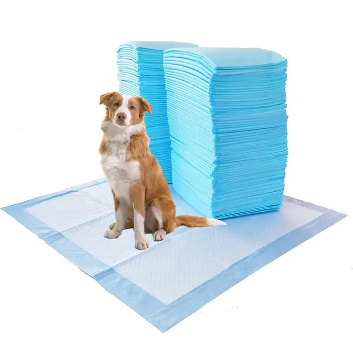 Coussinets de pipi pour chien