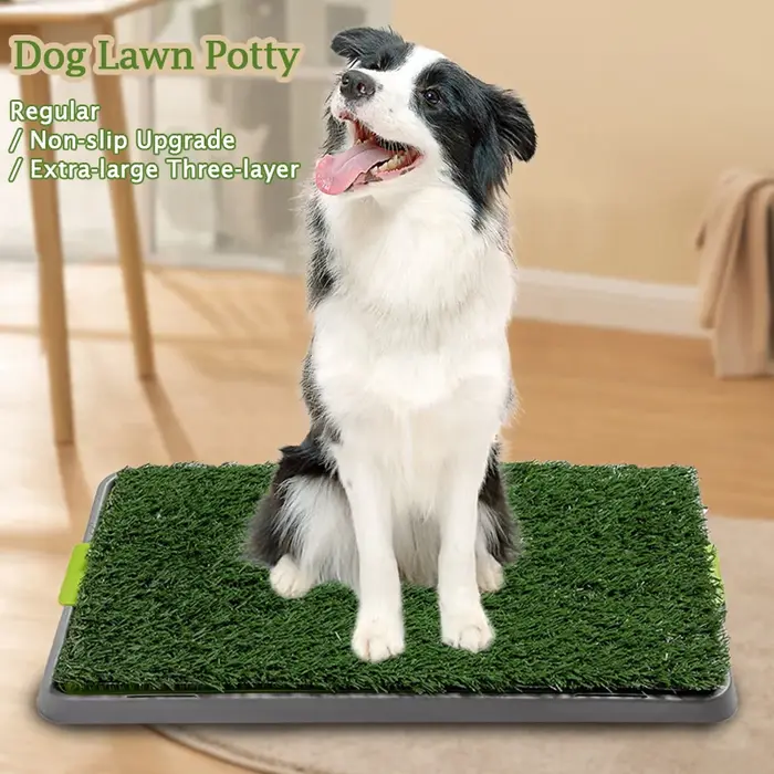 Toilettes pour chien, herbe artificielle