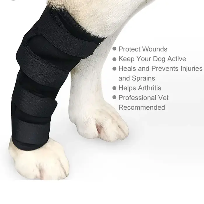 Genouillères de jambes pour chiens, Bandage de récupération, Anti-léchage, arthrite du chien, protec