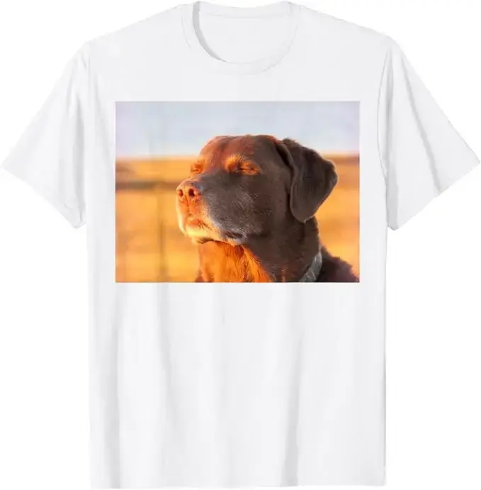 T-shirt amusant avec un motif de chien, un labrador retriever et un slogan humoristique, style Y2K, idéal pour les amoureux des chiens, vêtement graphique à manches courtes, t-shirt en coton doux, t-s