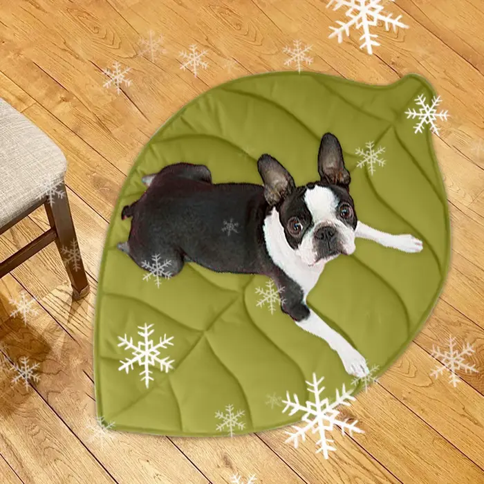 Tapis rafraîchissant pour chien et chat