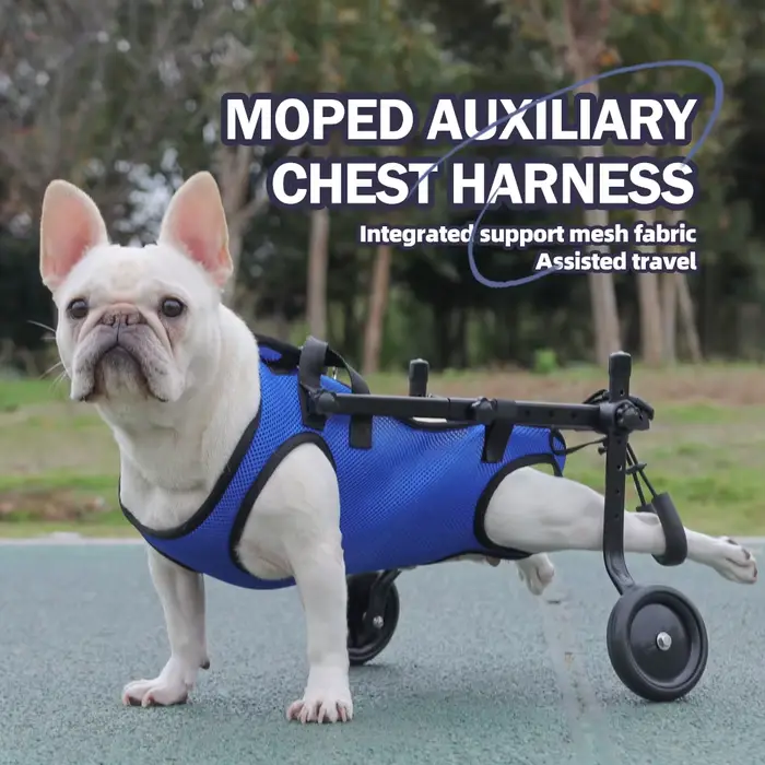 Harnais de poitrine et de dos pour chien handicapé, véhicule d'assistance au transport, équipement de rééducation canin, accessoires pour animaux de compagnie