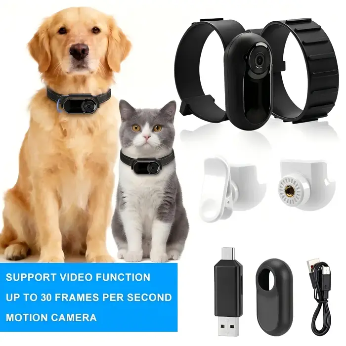 Caméra de collier pour animaux de compagnie HD 1080P