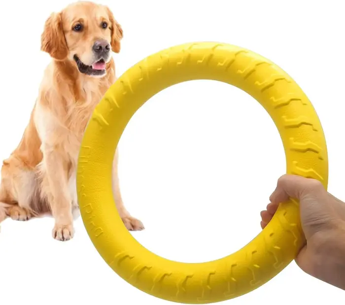 Jouet à mâcher à disque volant Durable pour chien