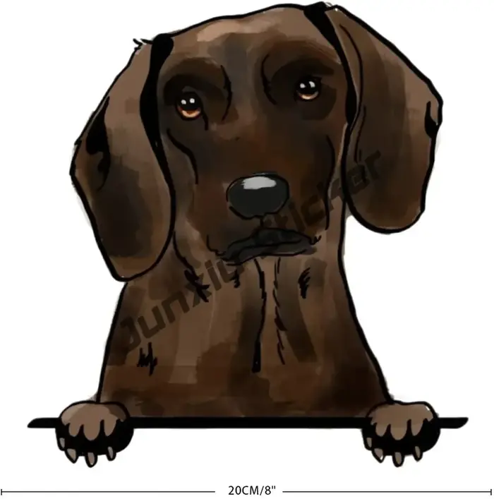 Autocollant en vinyle de montagne bernoise, Golden Retriever, Barbed Collie, German, Shorthaired, Gr