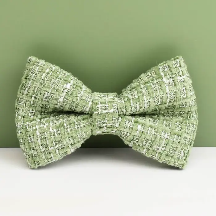 Ensemble collier et harnais vert citron pour chien avec plaque nominative gravée sur mesure, accesso