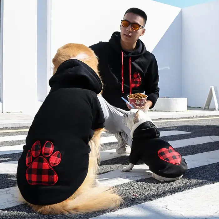 Sweat à capuche pour chien