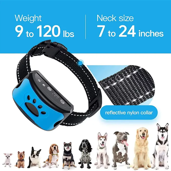 Bouchon d'aboiement pour chien