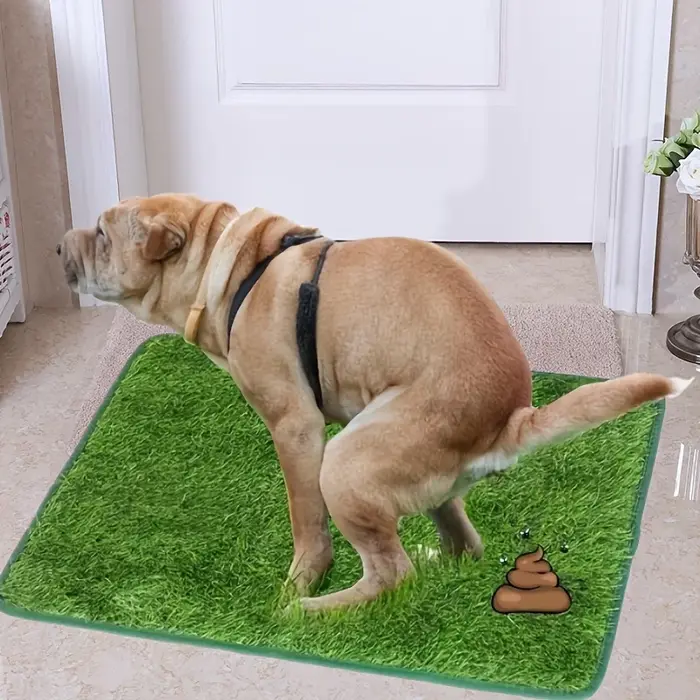 Tapis d'herbe artificielle lavable ultime pour chien - Réutilisable, anti-odeur, pour l'entraînement