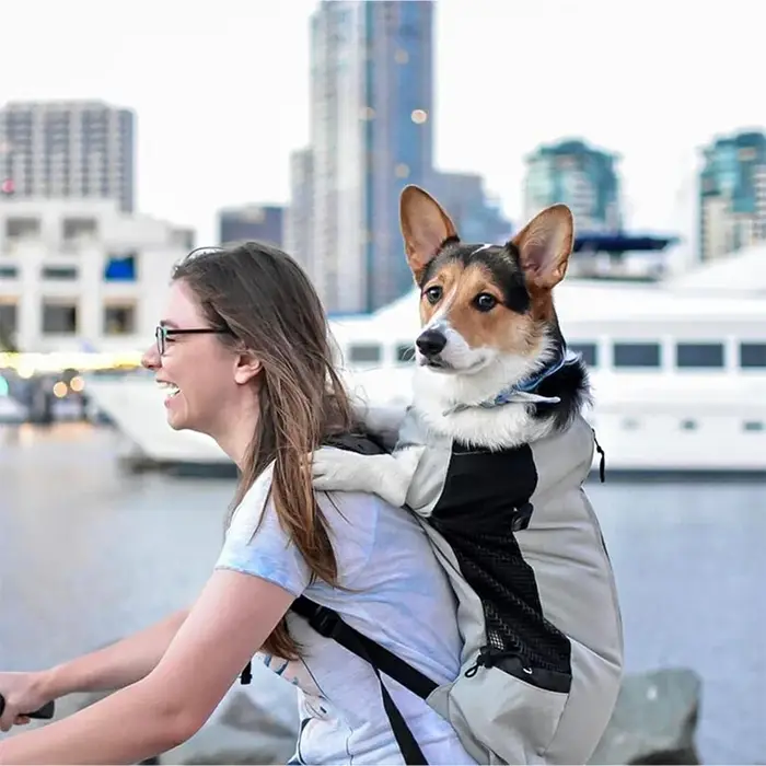 Sac à dos de transport pour chiens en polyester respirant, sac de randonnée pour promenade, sac de vélo pour animaux de compagnie, sac de voyage pour chiens de petite et moyenne taille, sac de plein air pour chiens et chats