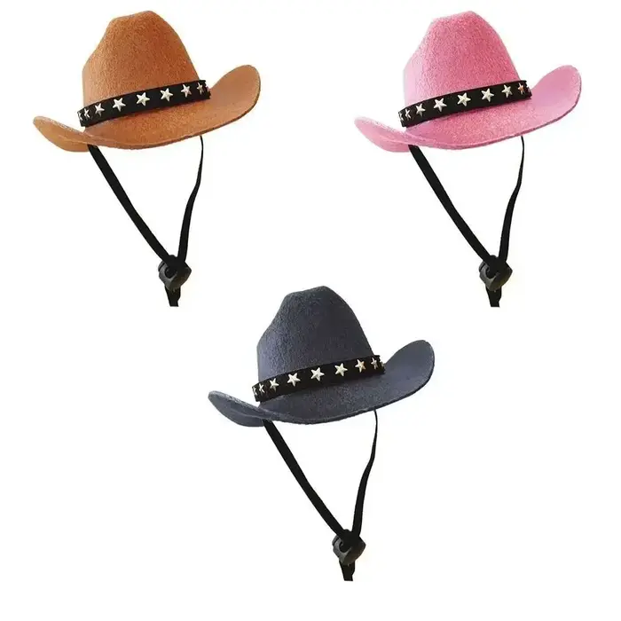 Chapeau de cowboy réglable pour animaux de compagnie