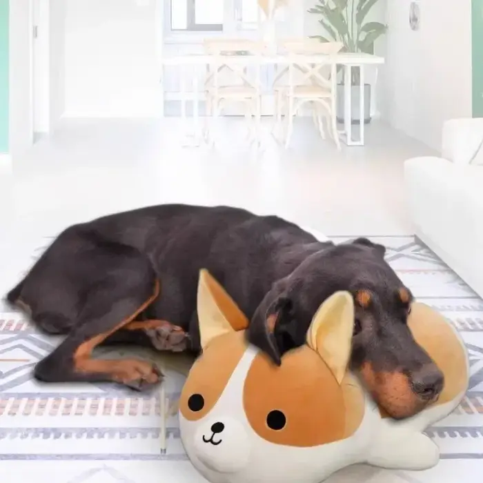 Jouets sexuels en peluche pour chien