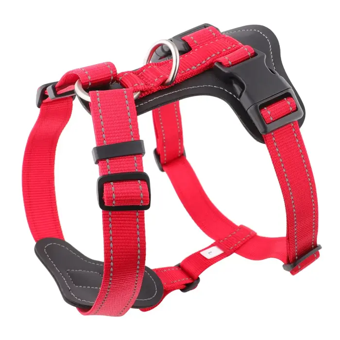 Harnais en cuir pour chiens, colliers de haute qualité, laisse pour grands, moyens et petits chiens,