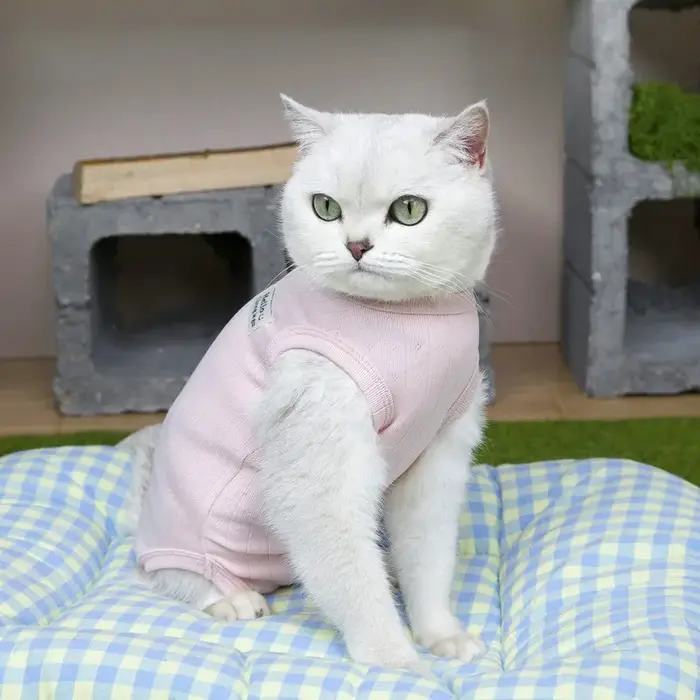 Combinaison post-opératoire respirante pour chienne stérilisée et chatte, anti-léchage, pour la conv