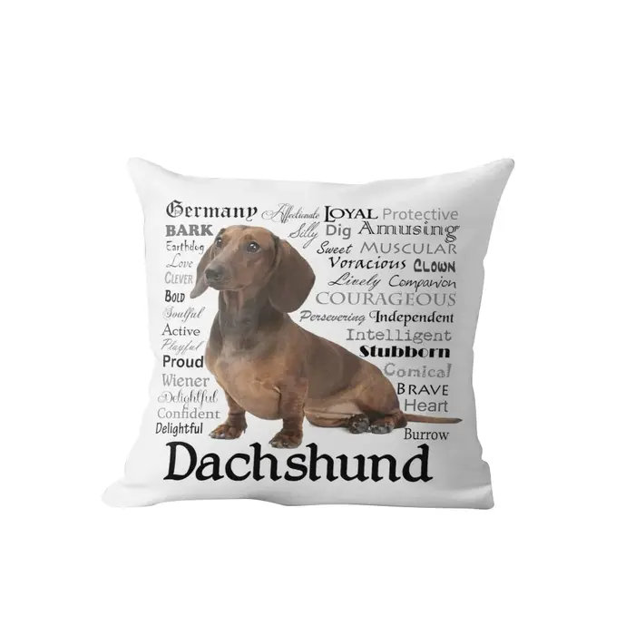 Juste de coussin personnalisée en velours, taie d'oreiller décorative, taie d'oreiller, taie d'oreil