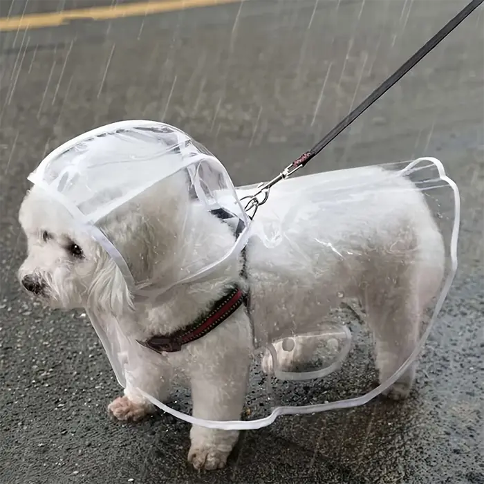 Imperméable transparent imperméable pour chien, imperméable pour chiens de petite et moyenne taille,