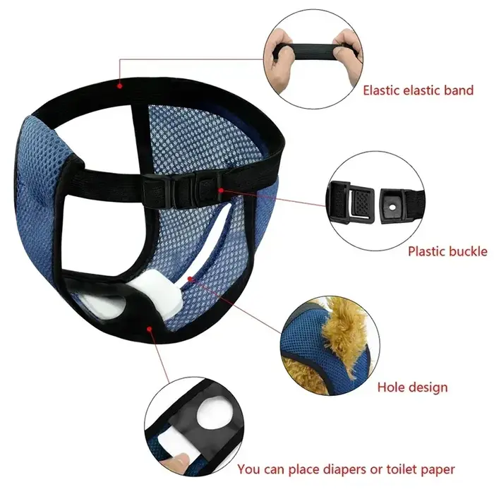 Slips menstruels physiologiques lavables pour animaux de compagnie, culottes d'hygiène anti-fuite pour petits et grands chiens, sous-vêtements hygiéniques pour animaux de compagnie