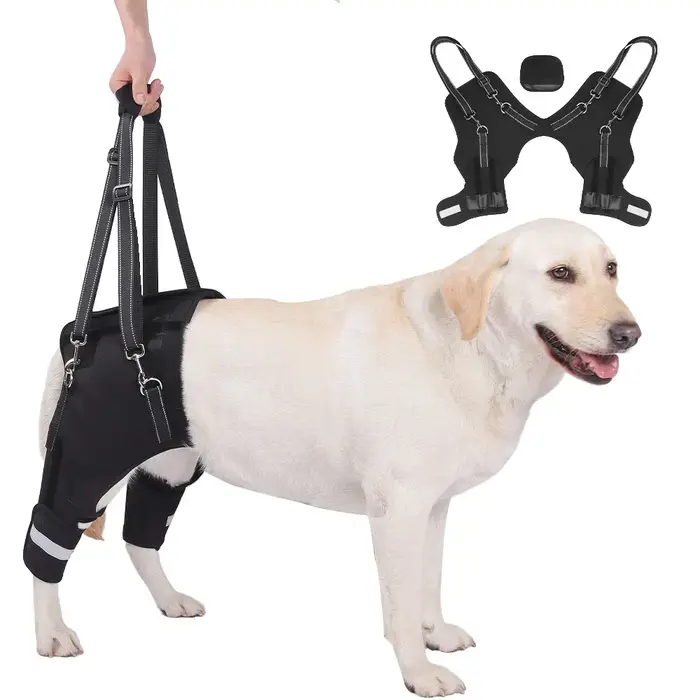 Harnais de soutien pour pattes arrière de chien, pour chiens âgés ou handicapés, aide à la rééducati