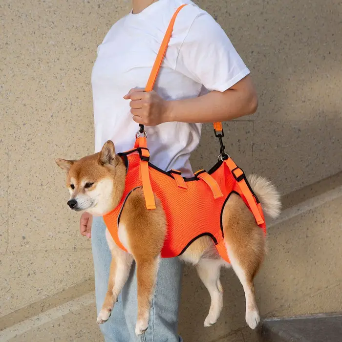 Vêtements auxiliaires pour animaux de compagnie de haute qualité pour chiens handicapés âgés