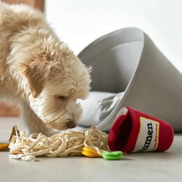Jouet olfactif pour chiens en forme de nouille, jouet de distribution de nourriture, jouet d'entraîn