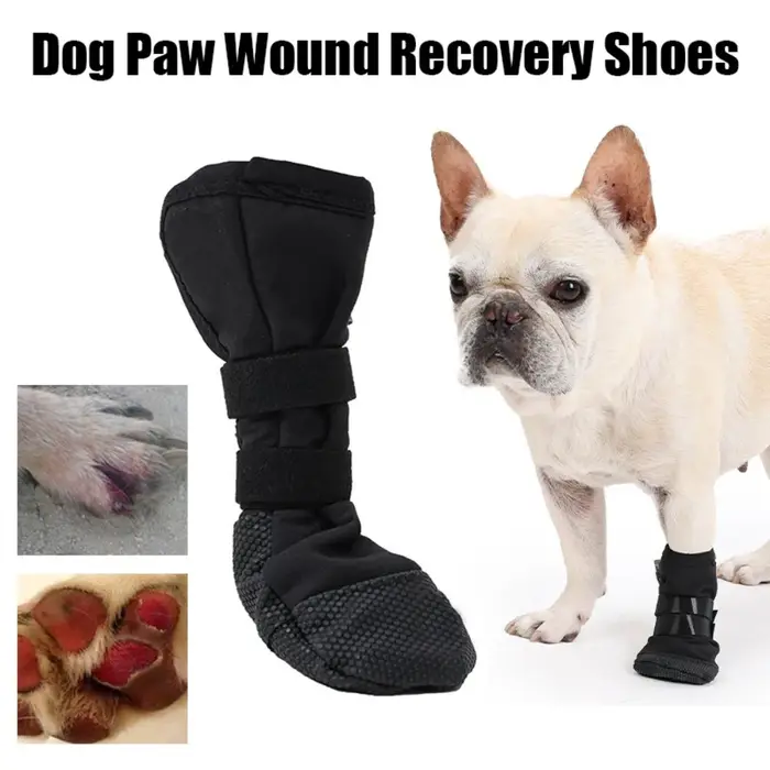 Couvre-pieds imperméables pour chiens protection post-opératoire quatre pieds couvre-chaussures pour pattes de chien fournitures pour animaux de compagnie occasions spéciales chiens post-chirurgicales