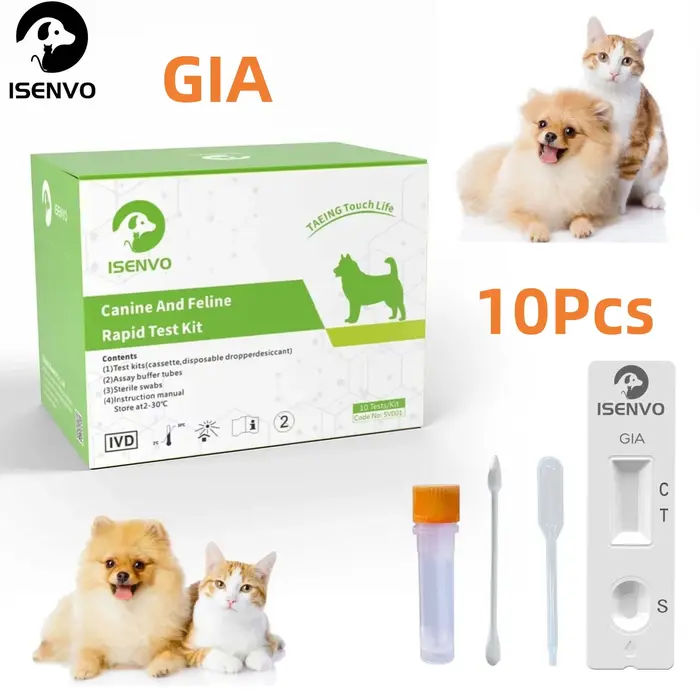 Kit de test GIA-Canine et félin GIARDIA, détection de la santé à domicile, chiens et chats, 10 pièce