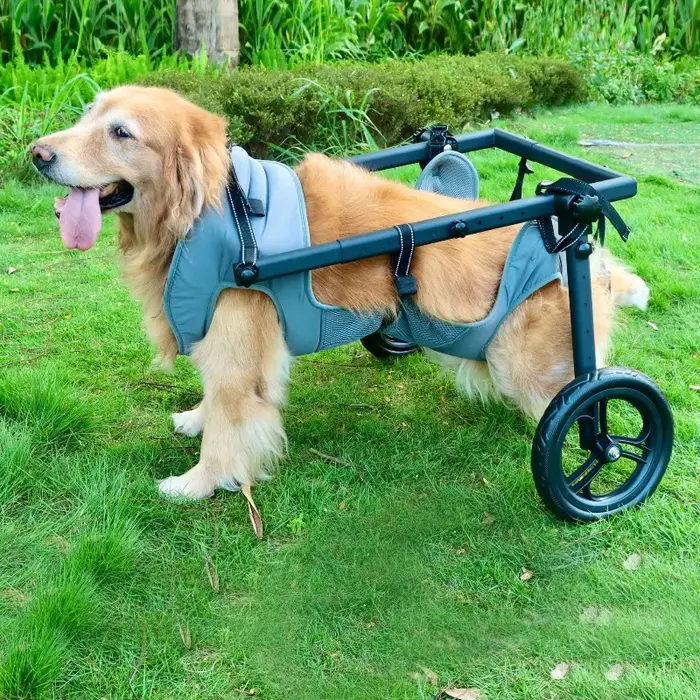 Chariot de rééducation XMSJ pour grands chiens aide à la mobilité et réadaptation assistance quotidienne pour chiens grandes races