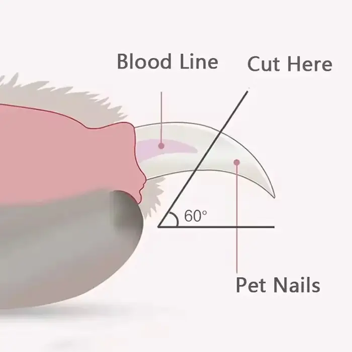 Coupe-ongles pour animaux de compagnie