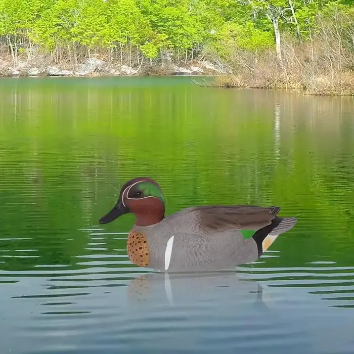 Leurre de canard flottant en PE de haute qualité pour chasse et décoration de jardin occasionnelle et spéciale