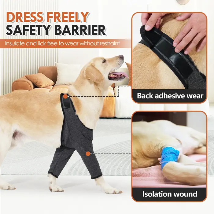 Combinaison de récupération pour chiens après chirurgie ou blessure jambes avant protection coude chiens taille moyenne grande neutre grise convalescence chiens occasions spéciales