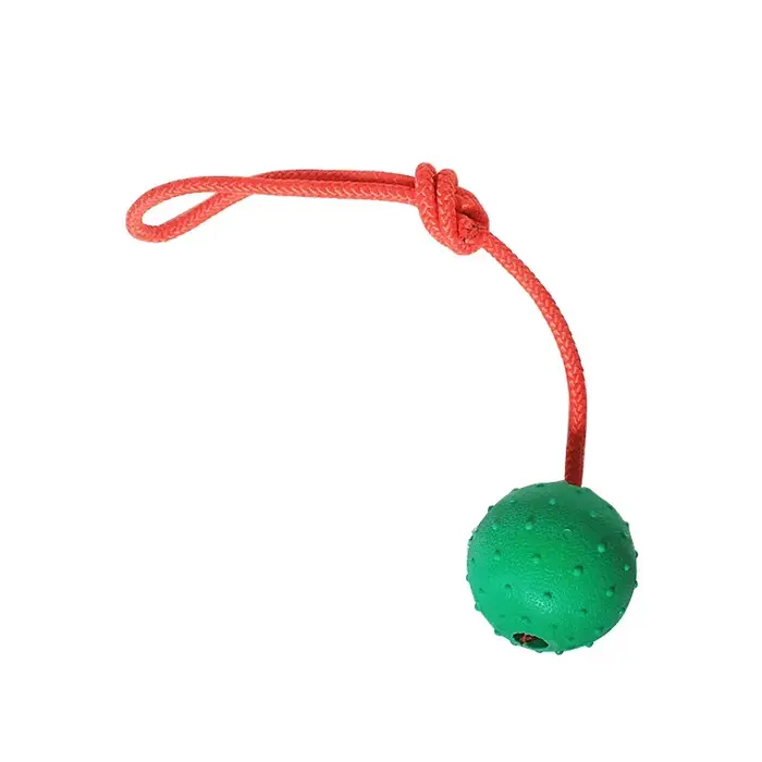 Jouets pour chiens : balle en caoutchouc indestructible avec corde, élasticité solide pour l'entraîn