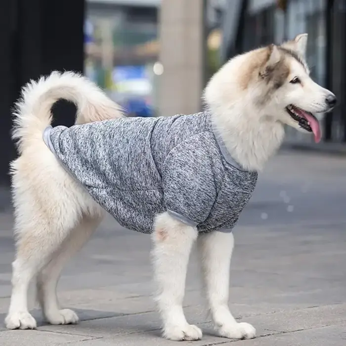 Vêtements d'hiver chauds pour grands chiens