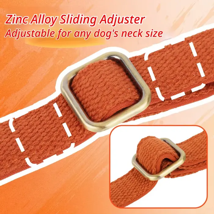 Collier pour animaux de compagnie avec boucle en alliage kaki