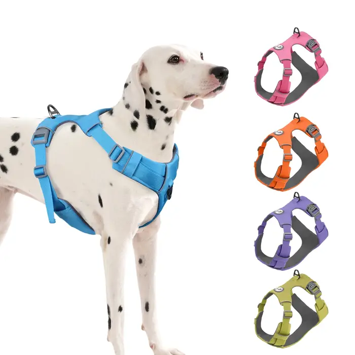 Harnais de sécurité sans traction pour chien de compagnie