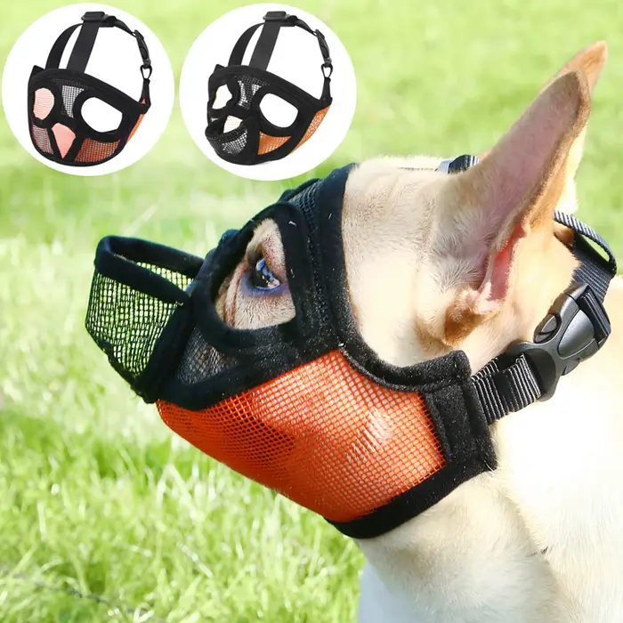 Muselière anti-vol et anti-morsure pour chiens