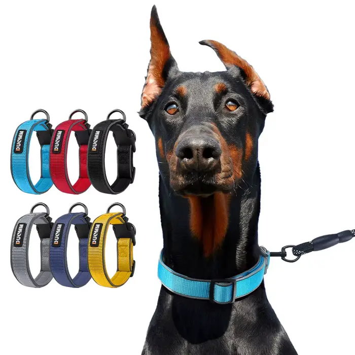Collier pour chien de taille moyenne à grande