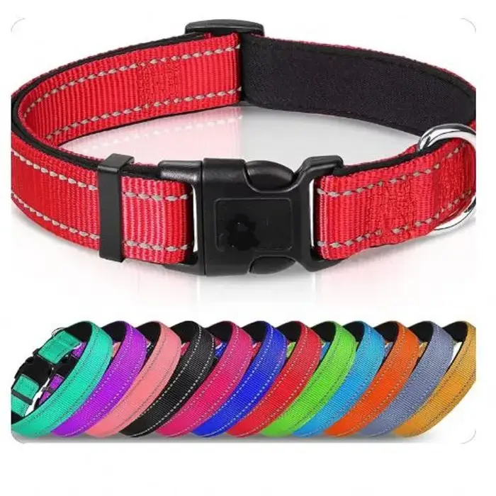 Collier de chien coulé réglable