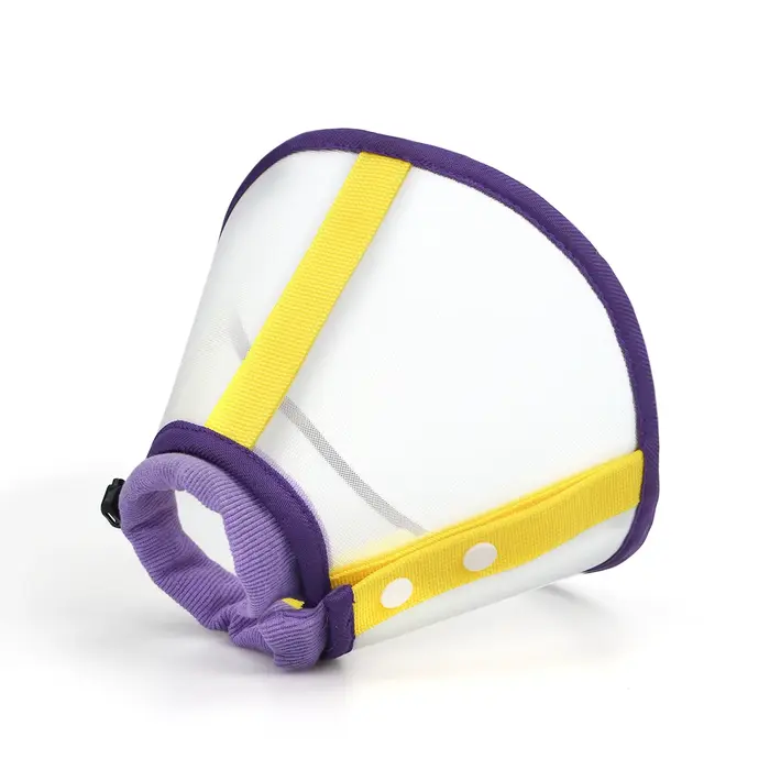 Un collier élisabéthain pour animaux de compagnie, couture de couleur contrastée à la mode, collier 