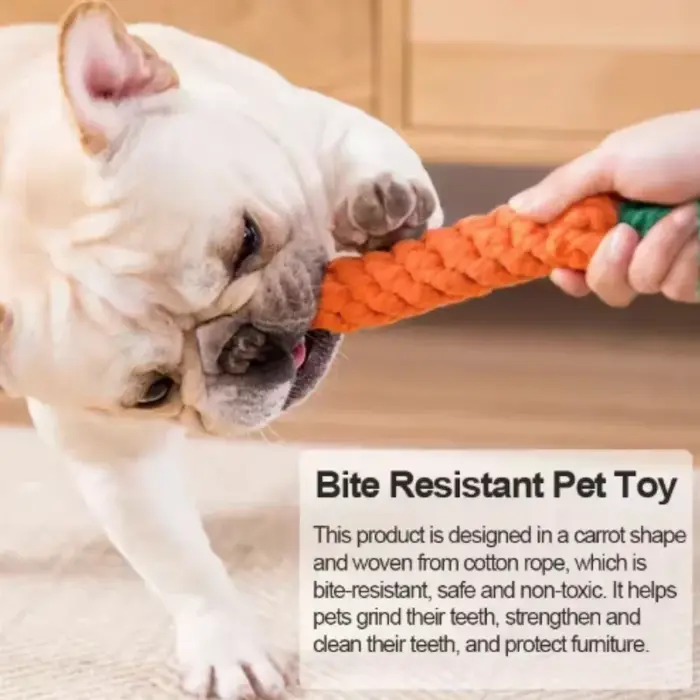 Jouet pour chiot en corde de coton tressée en forme de carotte