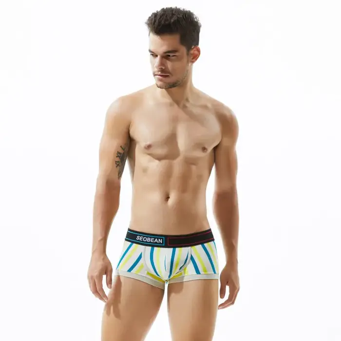 Sous-vêtements pour hommes à taille basse, coupe ajustée, rayés, sexy, à la mode, haute élasticité, 
