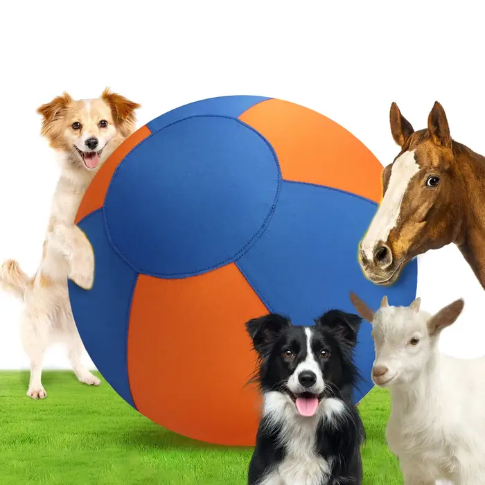Balle géante pour chien