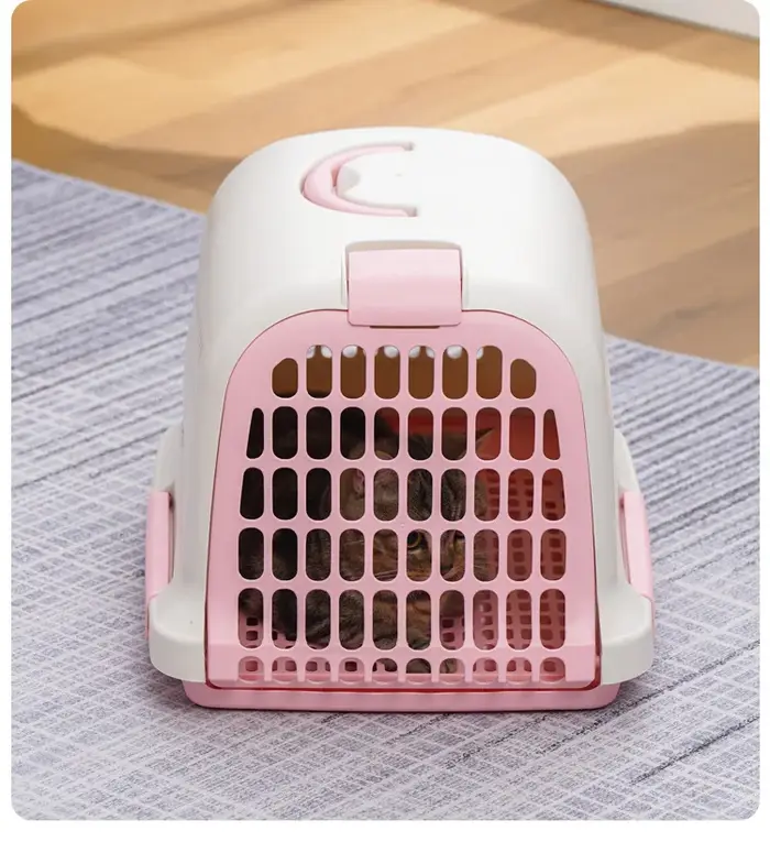 Transport pour animaux de compagnie en plastique Portable, boîte de Transport pour animaux de compag
