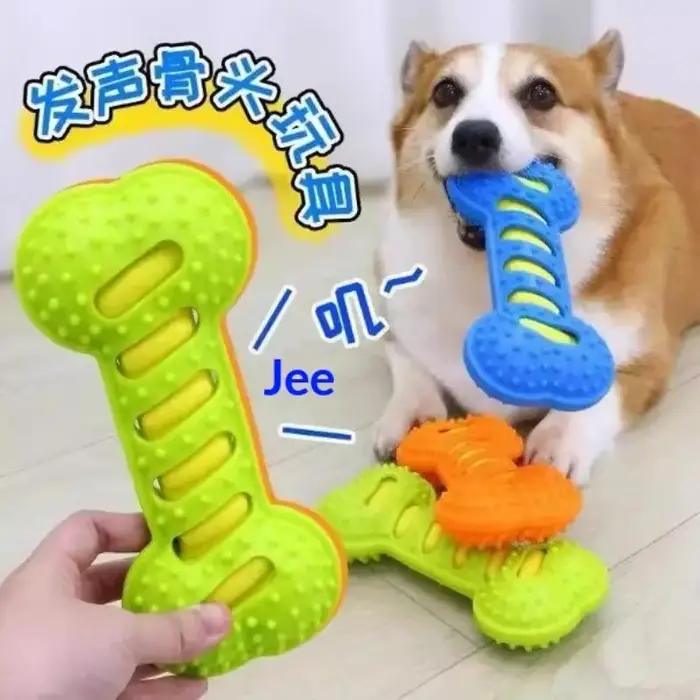 Jouet pour chien, os Durable